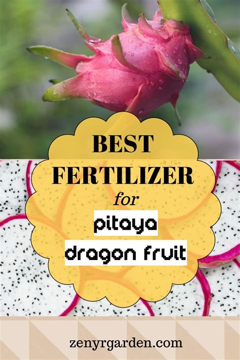 Fertilizer For Dragon Fruit